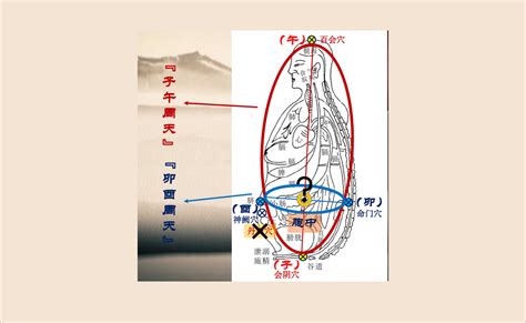 卯酉周天|文始道人体经络形成第一章：祖窍玄关